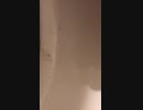 202004110650