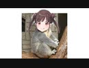 ちよコアラ