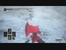ダークソウル３　クリップ供養11