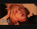 【FF7R】ファイナルファンタジー7でミッドガルと現実から脱出する Part25【実況プレイ】
