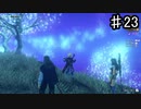 【ゼノブレイドDE】ここが秘境でいいんじゃないかな【実況】♯23