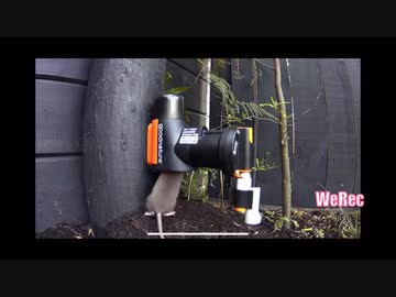 ホモと学ぶ人道的ネズミトラップ(電流・水責め無し)