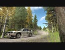 初心者のB.dirt_rally（グールプB）