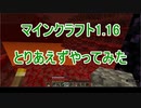 [Minecraft1.16]とりあえず遊んでみた