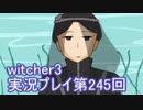 探し人を求めてwitcher3実況プレイ第245回