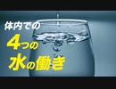 【栄養講座】体内での水の4つの働きと1日の必要摂取量「前半」【ビーレジェンド プロテイン】