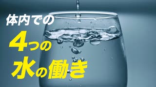 【栄養講座】体内での水の4つの働きと1日の必要摂取量「前半」【ビーレジェンド プロテイン】