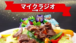 【マイクラジオ】最強の匠は俺だ！絶望的センス4人衆がカオスマイクラジオAOA編♯28【4人実況】