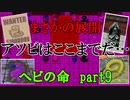 【2人実況】ヘビの命は重いのか？【part9】