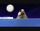 【実況】人間はあきらめて鳥類と恋愛する！【はーとふる彼氏-Hatoful Boyfriend-】＃4