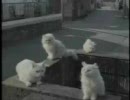 藤崎瑞希のエグザイコ