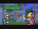Terraria(淫夢).mp1