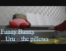 【カバー】Funny Bunny/Uru - the pillows【アクエリアス】TVCM 『見えない「がんばれ」』篇（弾き語り）