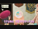 【あつまれどうぶつの森】のんびり　オシアシスフニ島 生活　４５日目
