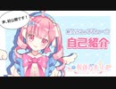 【新人Vtuber】御伽乃ありあ、自己紹介します!!【祝デビュー‼】