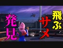 伝説の飛ぶサメを見つけました... 【フォートナイト】-Leon視点