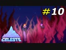 心の中に潜む悪い自分との決別[Celeste]#10