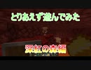 [Minecraft1.16]とりあえず遊んでみたpart2