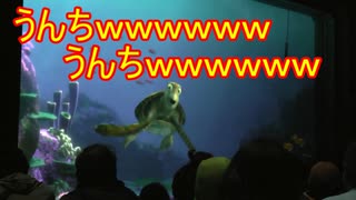 うんちｗｗｗうんちｗｗｗ【タートルトーク】東京ディズニーシー