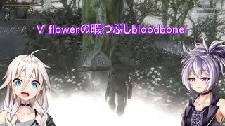 V_flowerの暇つぶしbloodborne　part3