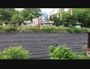 [旅行]大王わさび農場の中を散策する３分間（3/5）小径を歩く
