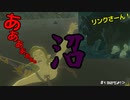 【趣味】拙いですがパンツでマスターになる【ゼルダの伝説ブレスオブザワイルド】pants132
