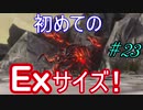 行こう！！　失った記憶を知る旅へ！【WORLD OF FINAL FANTASY】　Part23