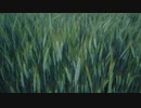 一ノ瀬君枝