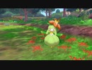 【ポケモン剣】実況初心者が鎧の孤島をプレイ【part10】