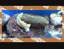 【剣盾】水族館パでワイワイバトル：13【ダブルランク・シーズン7】