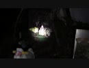 【心霊スポット】とある神社と防空壕、少女らしき声…