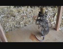 ホモと学ぶネズミトラップ.arm