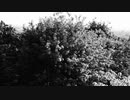 Réso (れそたくちら) - See if We Can Cross the Sky (空を駆ける光)