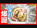 【ママレオパにそっくり⁉】レオパの赤ちゃんが産まれました【２０２０年第２号ベビーちゃん】