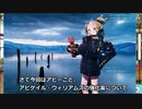 【FGO】アビゲイルってどうすりゃ強くなるん？【強化案・考察】