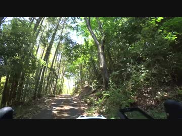 【自転車】仏坂峠に登る　（大阪府能勢町）　野間の大けやき　ロードバイク