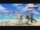 空に広がる大海【ゼノブレDE実況＃30】