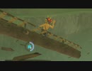 依頼を受けて流鏑馬ホバー中にハシゴで変な動きをしてみた