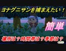 あつまれどうぶつの森　ヨナグニサンを捕まえる方法とは！？場所は？季節は？時間帯は？　図鑑コンプへの道！虫捕り攻略。　【あつ森】