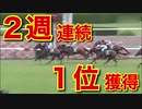 【４】競馬で勝つためにスポーツ紙の「数値」を分析し、データ化。利益を出すことにこだわり、検証します。