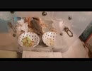 ハムスター飼いました。その96～ハムスターとおそうじ～
