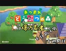 【あつまれどうぶつの森】カブで億万長者を目指す男＃十週間目