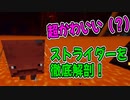 【マイクラ】新MOB　ストライダーを徹底解剖してみた