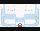 顔…? ポケモンプロキオン 13匹