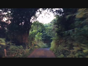 【車載動画】笠岡市神島　栂の丸山　登山往復動画