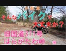 そんなバイクで大丈夫か？第2回 旧国道371号線はらがたわ峠編