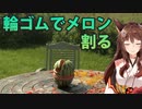 【野良猫襲来】にじさんじフミ　輪ゴムでメロンを割る【センシティブ発言】