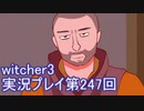 探し人を求めてwitcher3実況プレイ第247回