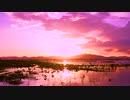 Timelapse_of_Twilight_Birds_and_Clody_Sun　広戸孝行