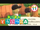 【ゆるりと】あつまれ どうぶつの森 １１日目